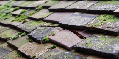 Truro roof repair costs